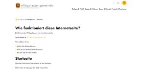 Screenshot der Seite "Leichte Sprache - Funktion der Website"