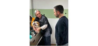 Katrin und Bürgermeister Luca Frisch bei der Pflege eine Hundes